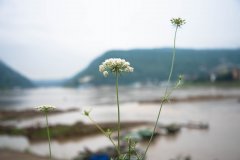 新的开始，您好2019